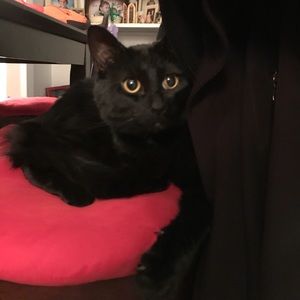 Meet your Posher, Linda